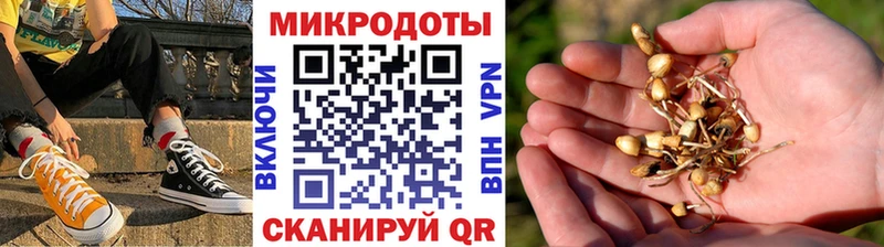 Псилоцибиновые грибы GOLDEN TEACHER Бирск